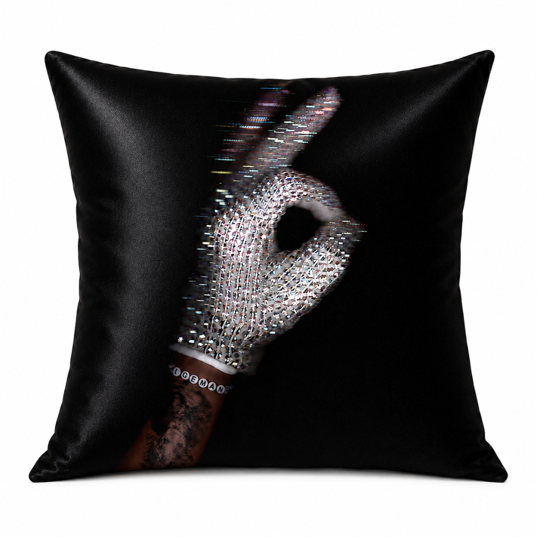 Iceman Pillow Cover – Drake
